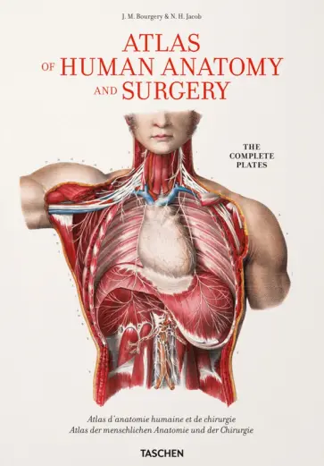 Bourgery, Jacob - Atlas of Human Anatomy and Surgery Bourgery, Jacob - Atlas of Human Anatomy and Surgery обложка книги