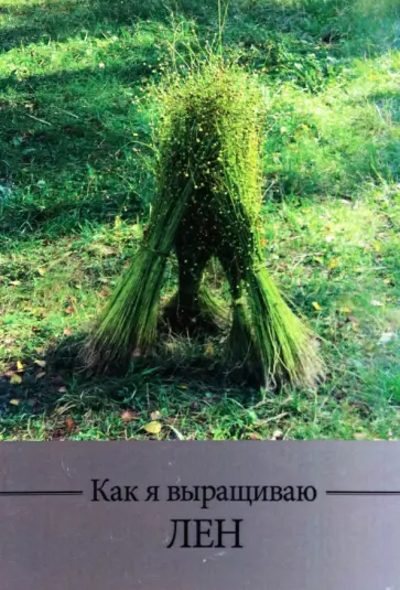 Мария Шитова - Как я выращиваю лен Мария Шитова - Как я выращиваю лен обложка книги