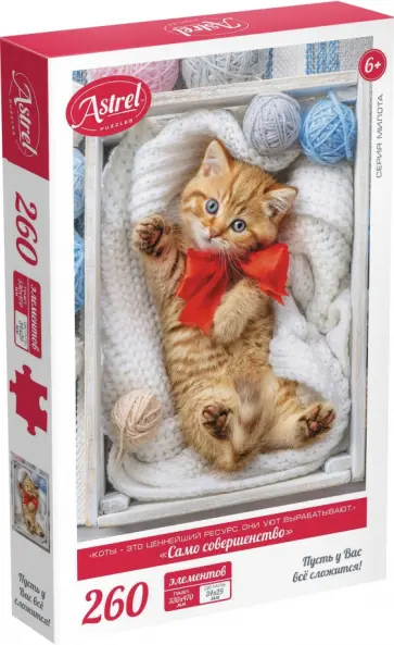 Пазл-260 Само совершенство обложка книги