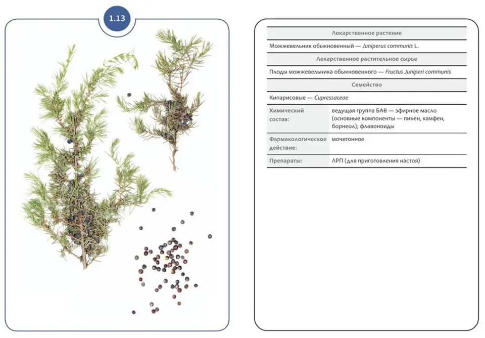 Приложение 7. Производство лекарственных средств из растительного сырья