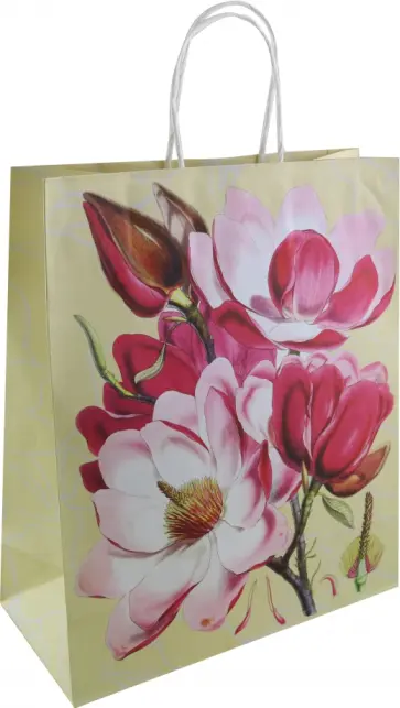Пакет подарочный Магнолия обложка книги