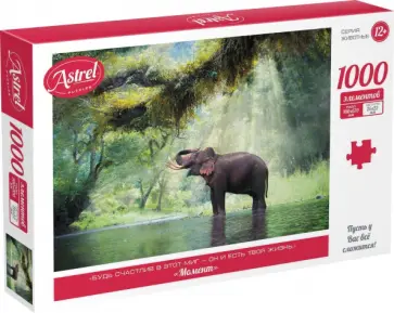 Пазл-1000 Момент обложка книги