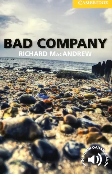 Richard MacAndrew - Bad Company. Level 2 обложка книги