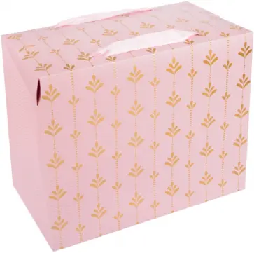 Пакет-коробка подарочный обложка книги