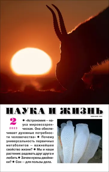 Наука и жизнь. 2023. № 2 обложка книги