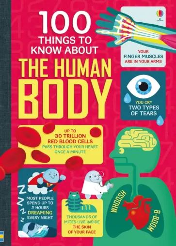Lacey, Frith - 100 Things to Know About the Human Body Lacey, Frith - 100 Things to Know About the Human Body обложка книги