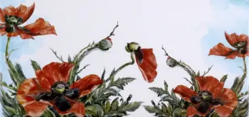 Конверт Евро №20 Маки, 5 штук обложка книги