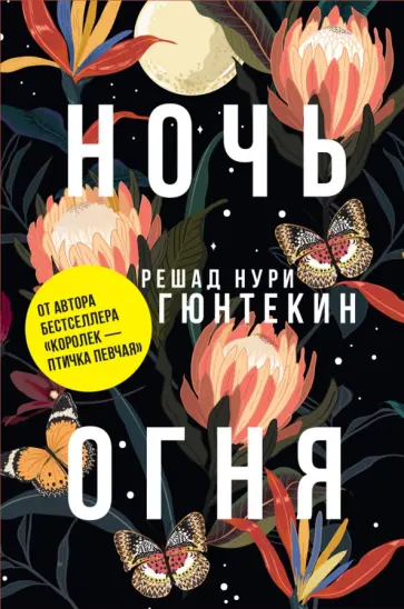 Решад Гюнтекин - Ночь огня Решад Гюнтекин - Ночь огня обложка книги