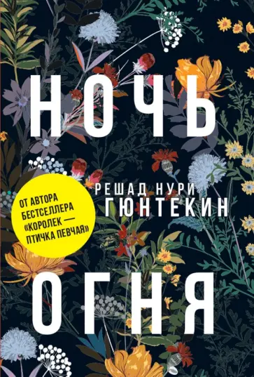 Решад Гюнтекин - Ночь огня Решад Гюнтекин - Ночь огня обложка книги