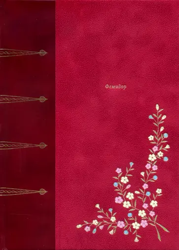 Д`Окур Годар - Фемидор, или История моя и моей любовницы обложка книги