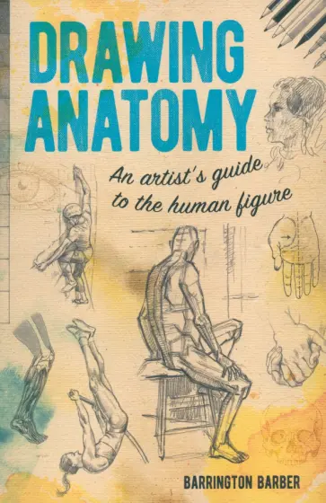 Barrington Barber - Drawing Anatomy. An Artist's Guide to the Human Figure обложка книги