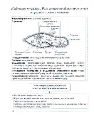 6 класс - Книги для школы - Учебная, методическая литература - Книги