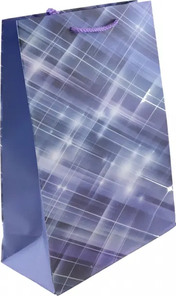 Пакет подарочный, ламинированный обложка книги