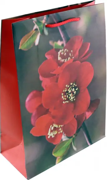 Пакет подарочный, ламинированный обложка книги