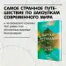 Миниатюра 4