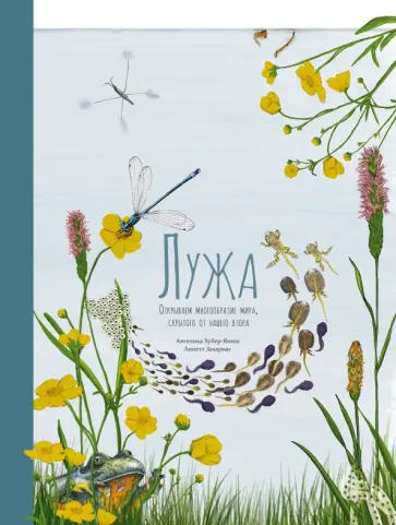 Ангелика Хубер-Яниш - Лужа. Открываем многообразие мира, скрытого от нашего взора обложка книги