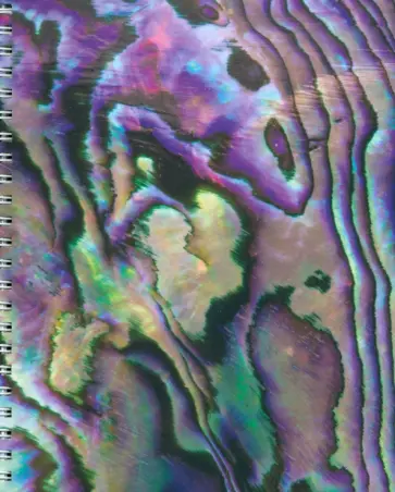 Тетрадь Перламутр, 96 листов, клетка обложка книги