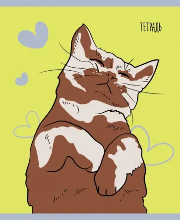 Тетрадь Пушистые лапки, 48 листов, клетка, в ассортименте обложка книги