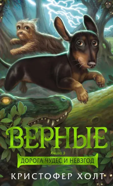 Кристофер Холт - Верные. Книга 3. Дорога чудес и невзгод Кристофер Холт - Верные. Книга 3. Дорога чудес и невзгод обложка книги