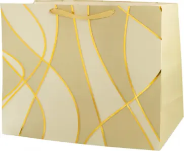 Пакет подарочный обложка книги