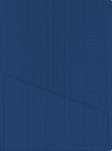 Дневник школьный Barcelona, 48 листов, темно-синий обложка книги