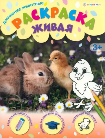 Раскраска живая Домашние животные Раскраска живая Домашние животные обложка книги