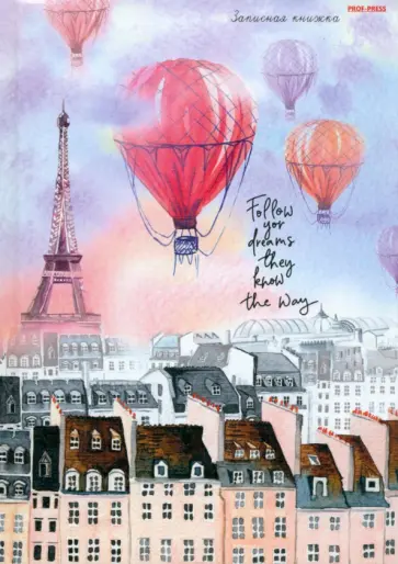 Записная книжка Шары над Парижем, А5, 80 листов, клетка обложка книги