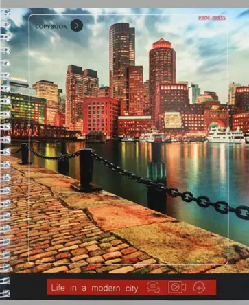 Тетрадь двойная Мегаполисы у воды, А5, 80 листов, клетка обложка книги