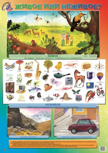 Детский плакат. Живое или неживое Детский плакат. Живое или неживое обложка книги