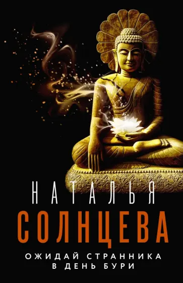 Наталья Солнцева - Ожидай странника в день бури обложка книги