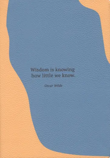 Ежедневник полудатированный Stains, А5, 160 листов обложка книги