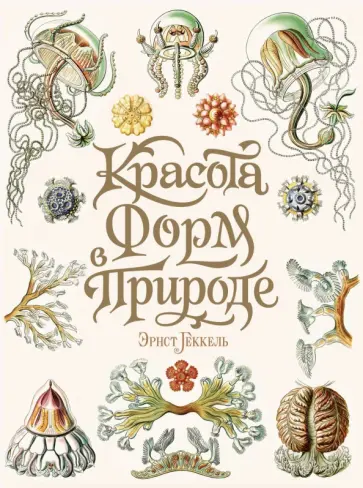 Эрнест Геккель - Красота форм в природе обложка книги
