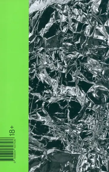 Илья Мамаев-Найлз - Год порно Илья Мамаев-Найлз - Год порно обложка книги