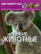 Мир вокруг нас