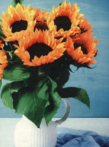 Алмазная мозаика Подсолнухи, на подрамнике обложка книги