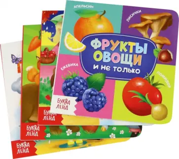 Евгения Сачкова - Знакомимся с окружающим миром. Набор из 4-х книг обложка книги