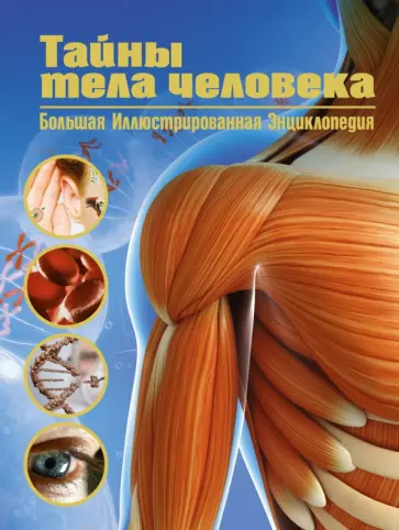 Малиция, Сориано - Тайны тела человека. Большая иллюстрированная энциклопедия обложка книги