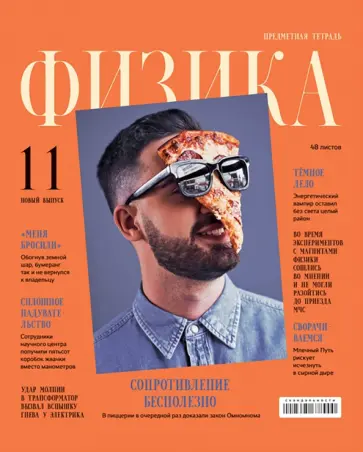 Тетрадь предметная Скандальности. Физика, 48 листов, клетка обложка книги