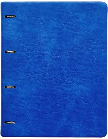 Тетрадь с кольцевым механизмом Turtle, синий, 120 листов, А4, клетка обложка книги