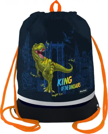 Мешок для обуви T-Rex style обложка книги