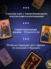 Миниатюра 4