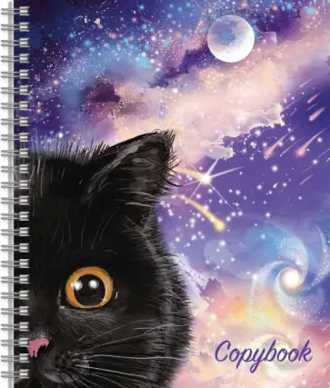 Тетрадь Чёрный кот, 80 листов, клетка обложка книги