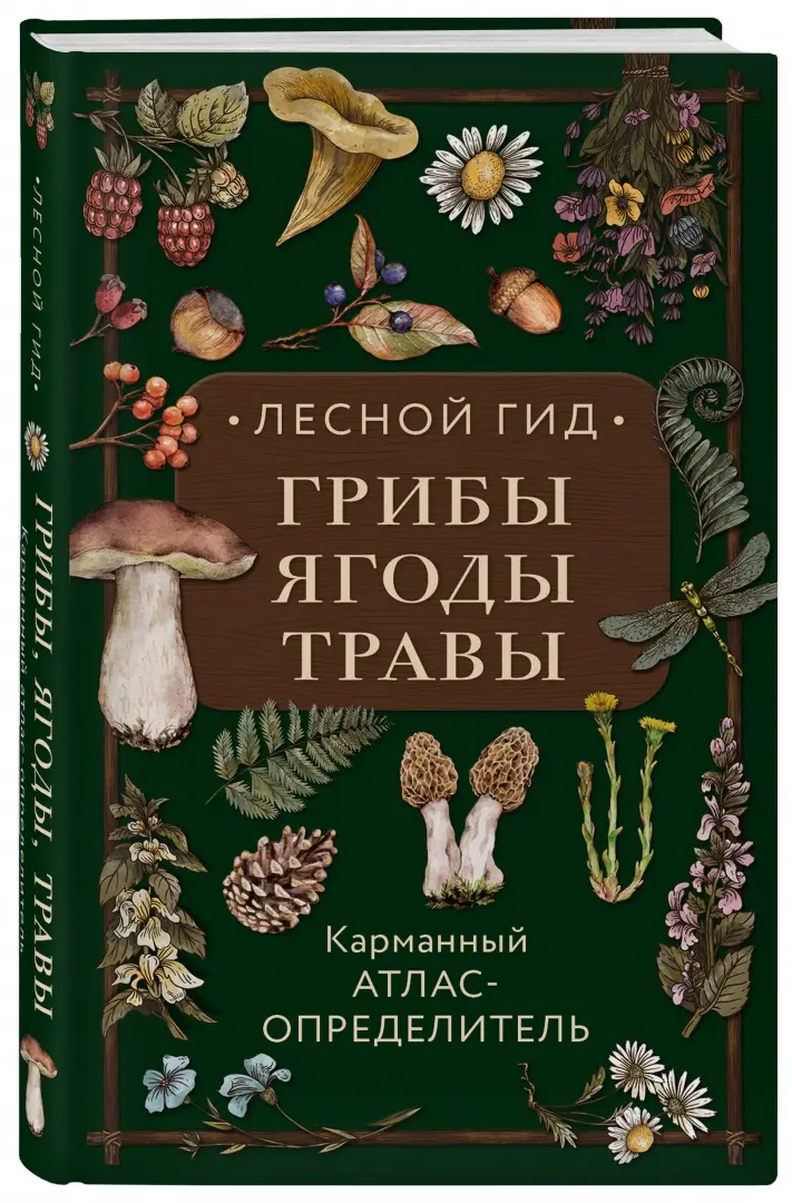 Одинокие Лида Пользователи Заинтересованы В Секс Свиданиях