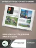 Миниатюра 4