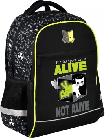 Рюкзак школьный Научный кот обложка книги