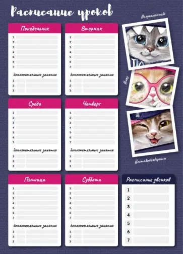 Расписание уроков Коты, А3 Расписание уроков Коты, А3 обложка книги