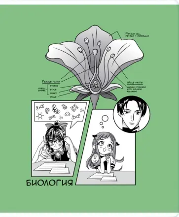 Тетрадь предметная Аниме. Биология, 48 листов, клетка обложка книги