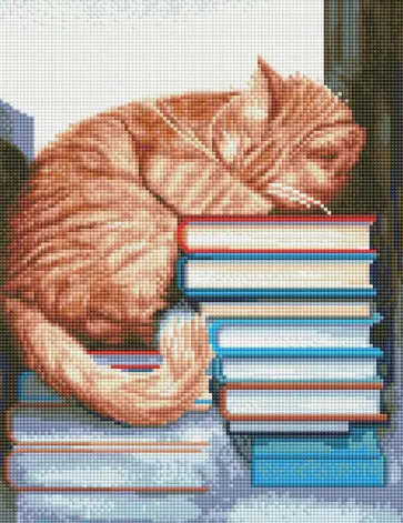 Алмазная мозаика Дневной сон обложка книги