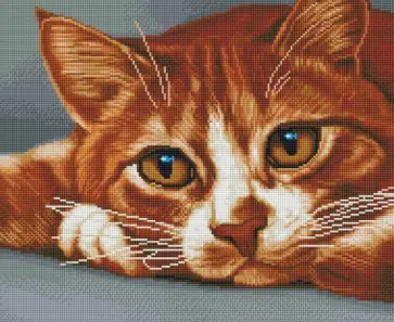 Алмазная мозаика Рыжик обложка книги