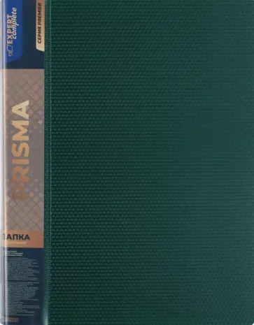 Папка на 2 кольцах Premier. Prisma, A4, изумрудная обложка книги